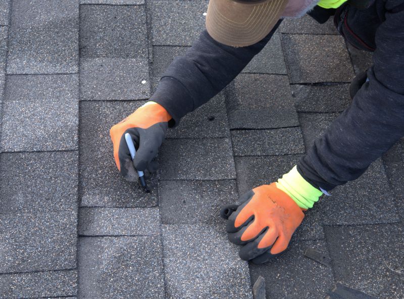 Shingle Repair Technician