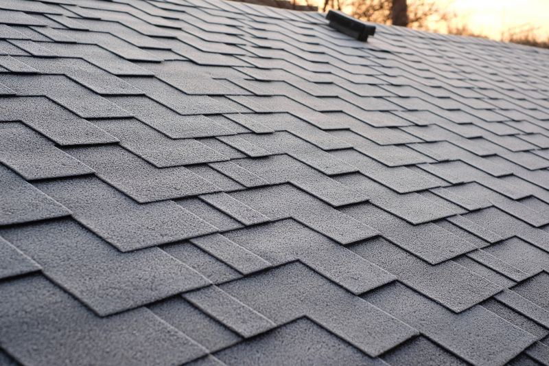 Asphalt Roofing Service